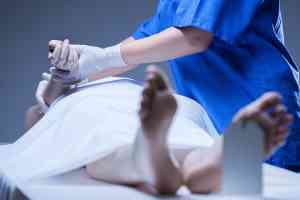 © Photographee.eu - stock.adobe.com Leichenschau